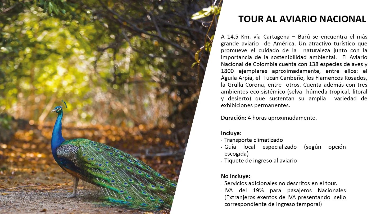 turismo-ES-10  Tour al aviario nacional